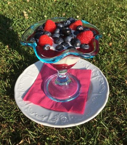 Frisse yoghurt met bosvruchten