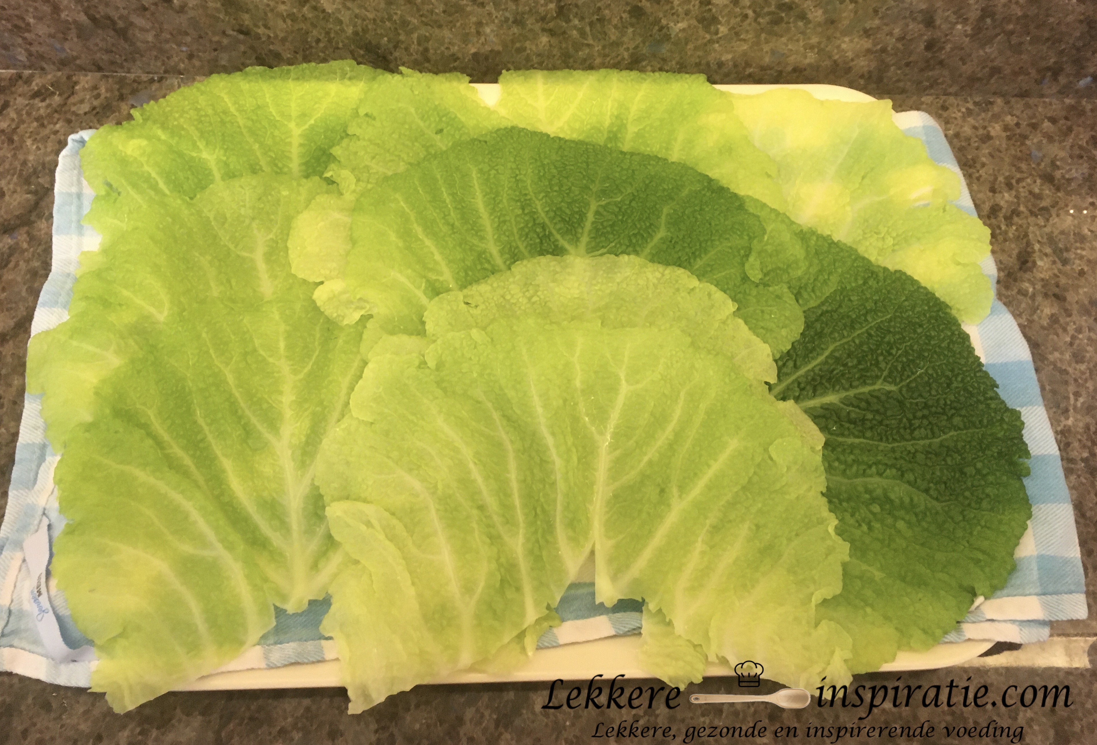 Beetgare koolbladeren